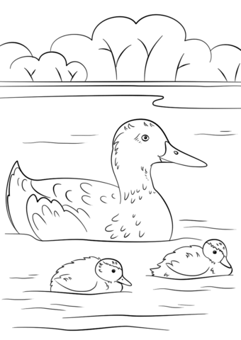 Duck With Ducklings From Summer Coloring Page